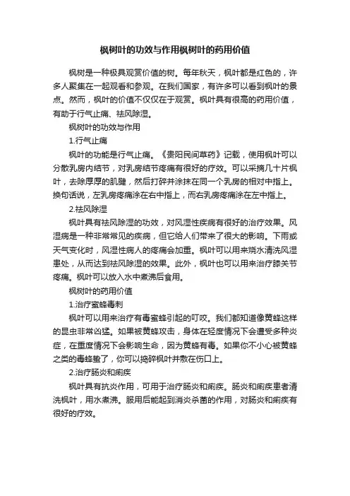 枫树叶的功效与作用枫树叶的药用价值