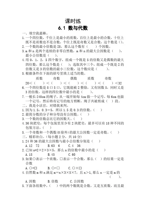 六年级下册数学人教版课时练第6单元《6.1数与代数》试卷含答案(1)