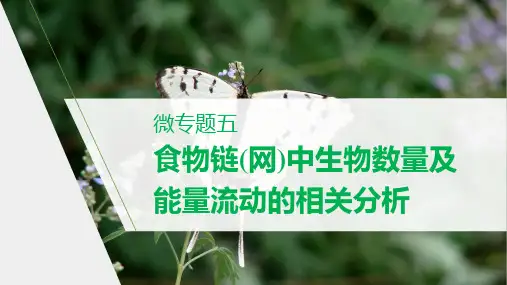 高二上学期生物人教版必修3-微专题五 食物链(网)中生物数量及能量流动的相关分析(课件)