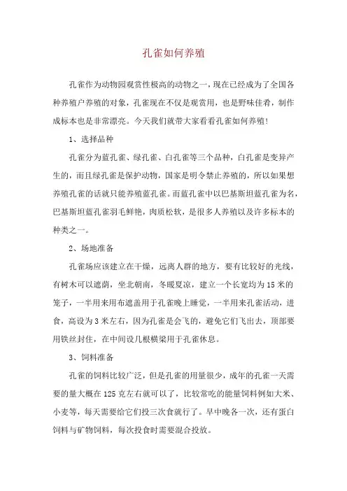 孔雀如何养殖