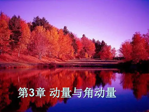 水务工程大学物理第三章动量和角动量.ppt