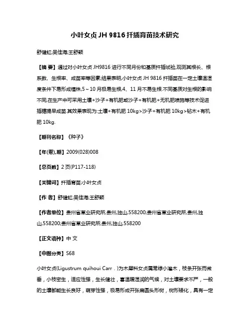 小叶女贞JH 9816扦插育苗技术研究