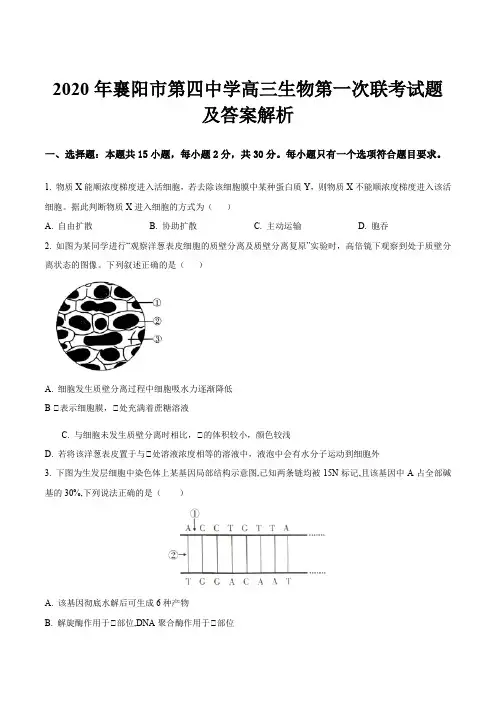 2020年襄阳市第四中学高三生物第一次联考试题及答案解析