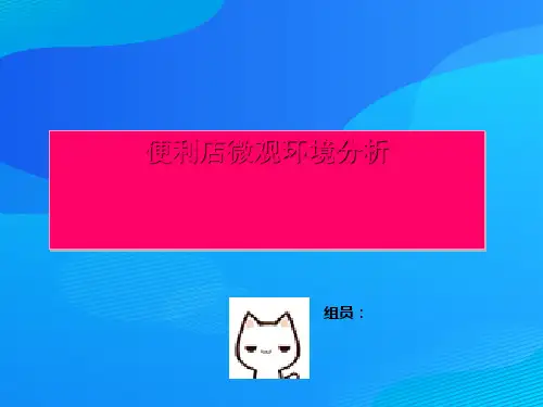 便利店微观环境分析报告(ppt 11页)