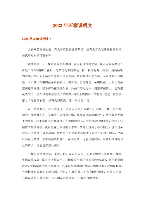 2023年石榴说明文_2