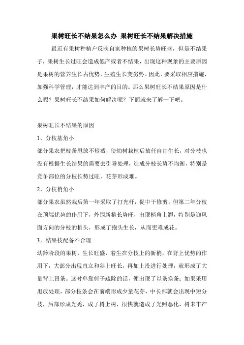果树旺长不结果怎么办 果树旺长不结果解决措施.doc