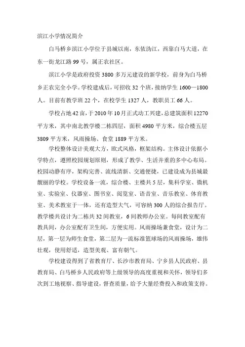 滨江小学情况简介