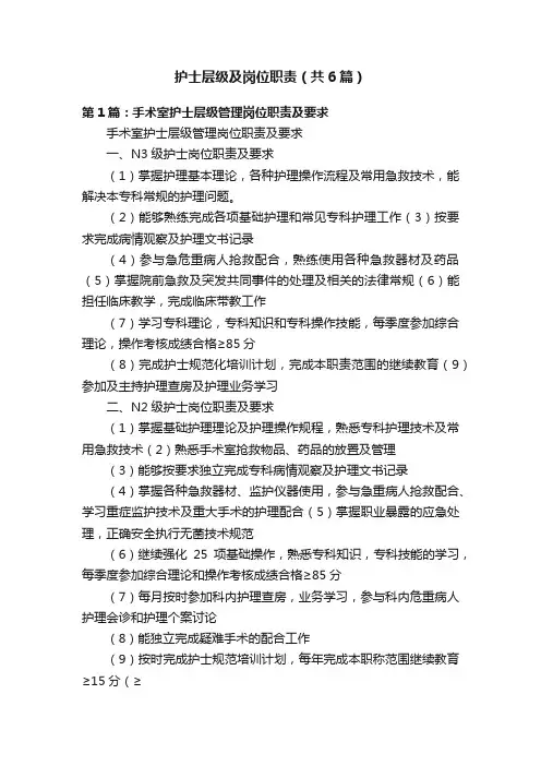 护士层级及岗位职责（共6篇）