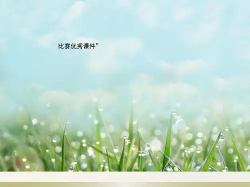 高中语文苏教课标版必修二《边城(节选)》沈庆波PPT课件 一等奖新名师优质课