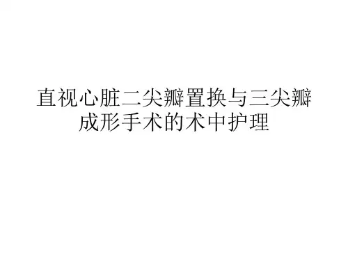 心脏手术(MVR)