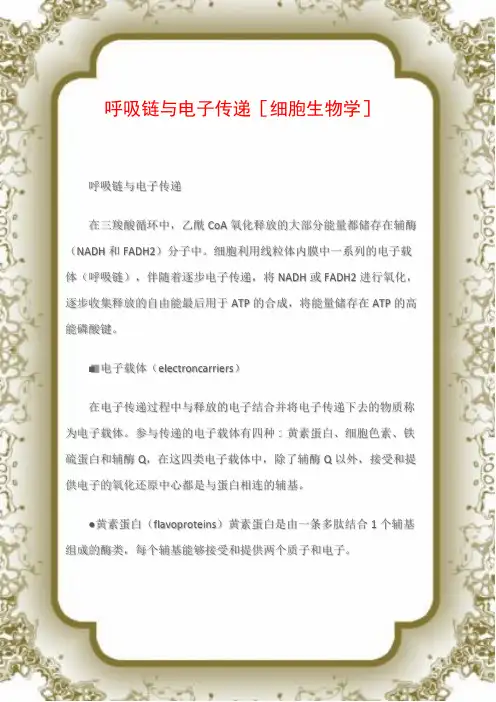 呼吸链与电子传递[细胞生物学]
