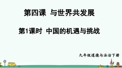 《中国的机遇与挑战》PPT【精品】课件