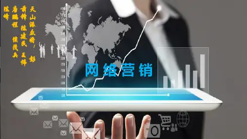 网络营销 课堂作业PPT课件