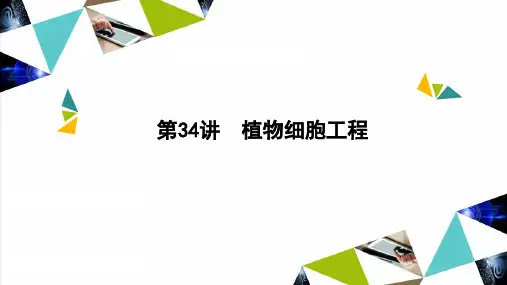 高三一轮复习生物植物细胞工程课件
