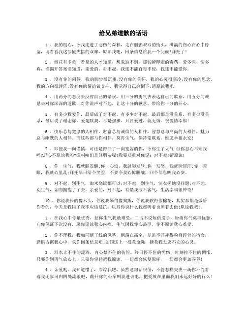 给兄弟道歉的话语