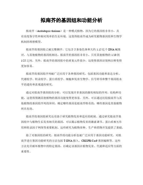 拟南芥的基因组和功能分析