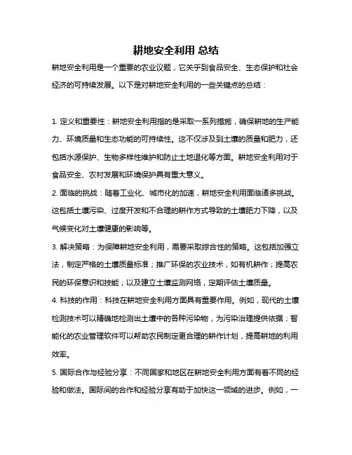 耕地安全利用 总结