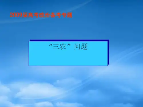 高考政治备考专题：“三农”问题课件