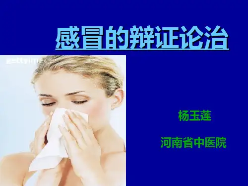 感冒的辩证论治