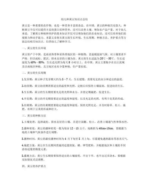 幼儿种黄豆知识点总结