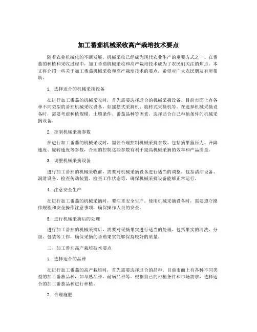 加工番茄机械采收高产栽培技术要点