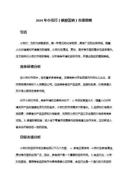 2024年小苏打(碳酸氢钠)市场策略