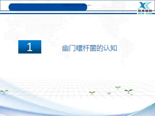 幽门螺杆菌IgG抗体分型检测系统课件
