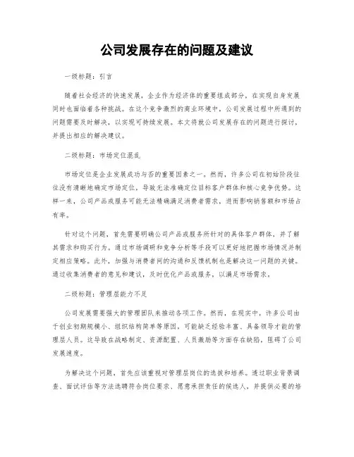 公司发展存在的问题及建议