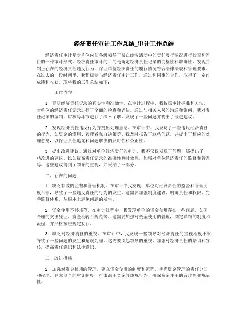 经济责任审计工作总结_审计工作总结
