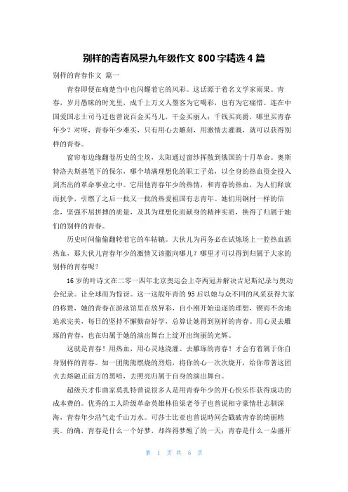 别样的青春风景九年级作文800字精选4篇