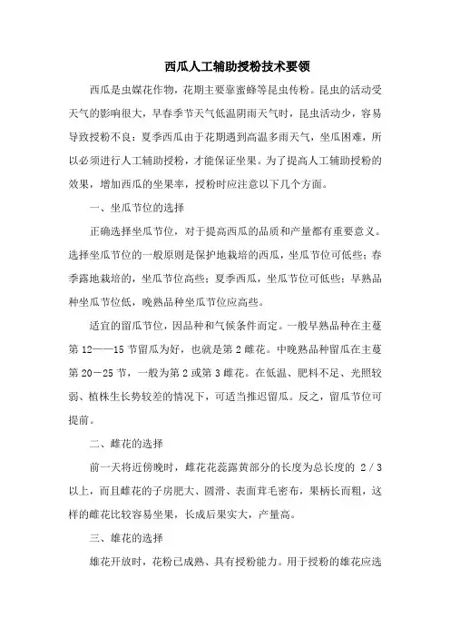 西瓜人工辅助授粉技术要领