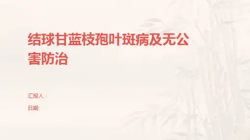结球甘蓝枝孢叶斑病及无公害防治