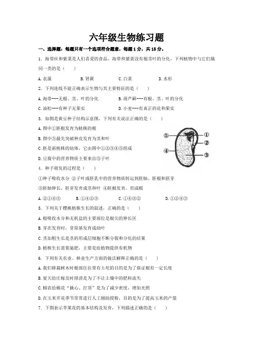 山东省泰安市岱岳区(五四制)2021-2022学年六年级下学期期末考试生物试题