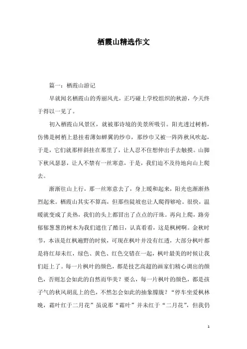 栖霞山精选作文