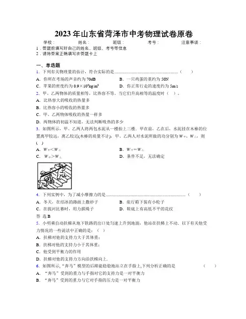 2023年山东省菏泽市中考物理试卷原卷及解析