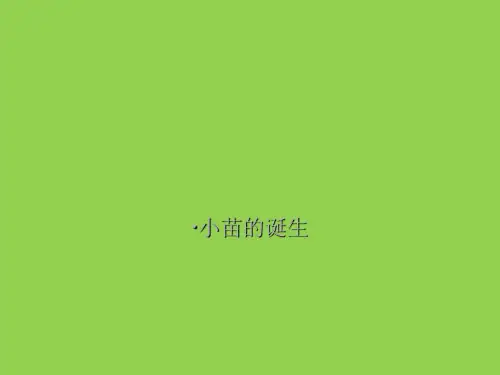 (五上)科学PPT课件 小苗的诞生冀教版 (12张)