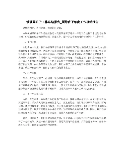 镇领导班子工作总结报告_领导班子年度工作总结报告