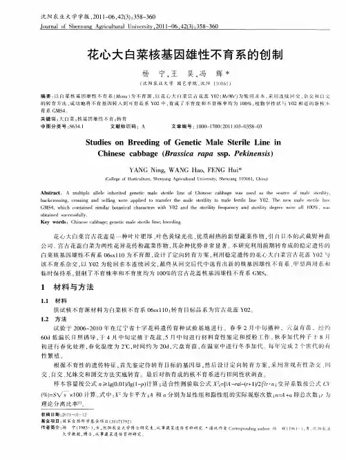 花心大白菜核基因雄性不育系的创制