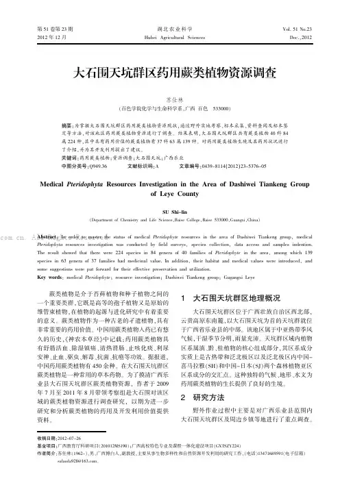 大石围天坑群区药用蕨类植物资源调查