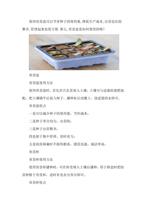 育苗盒怎么用