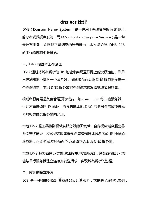 dns ecs原理