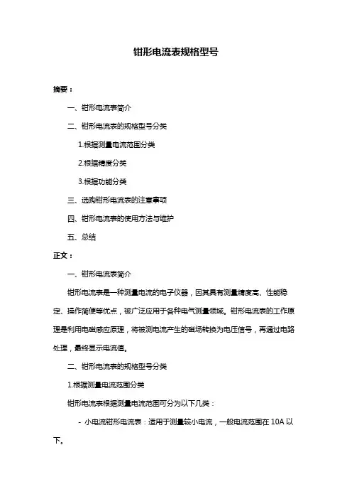 钳形电流表规格型号