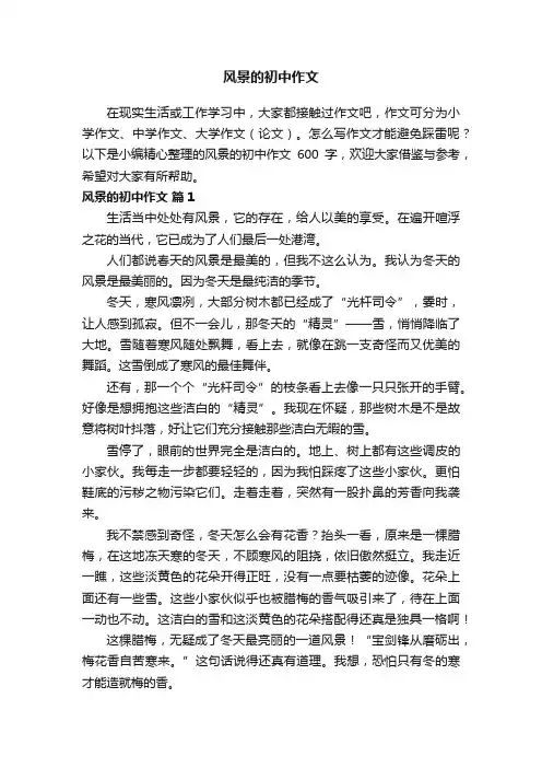 风景的初中作文600字（通用46篇）