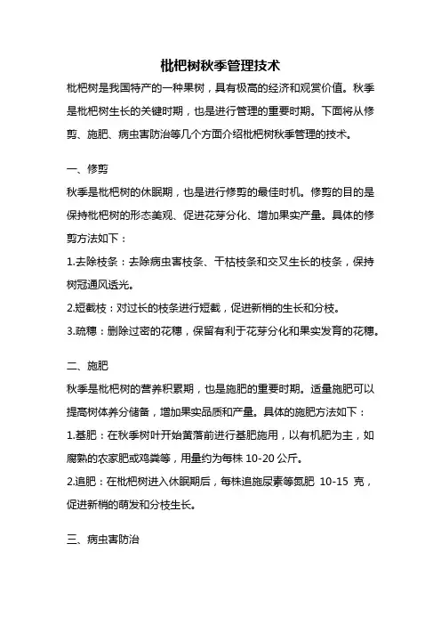 枇杷树秋季管理技术