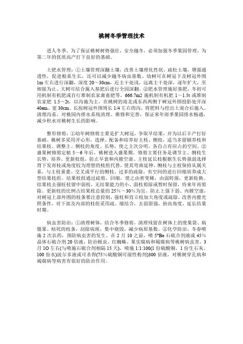 桃树冬季管理技术