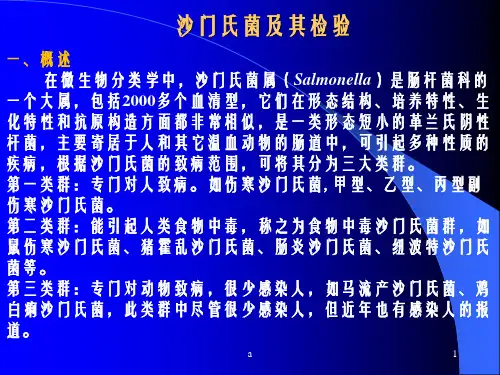 《沙门氏菌检验》PPT课件