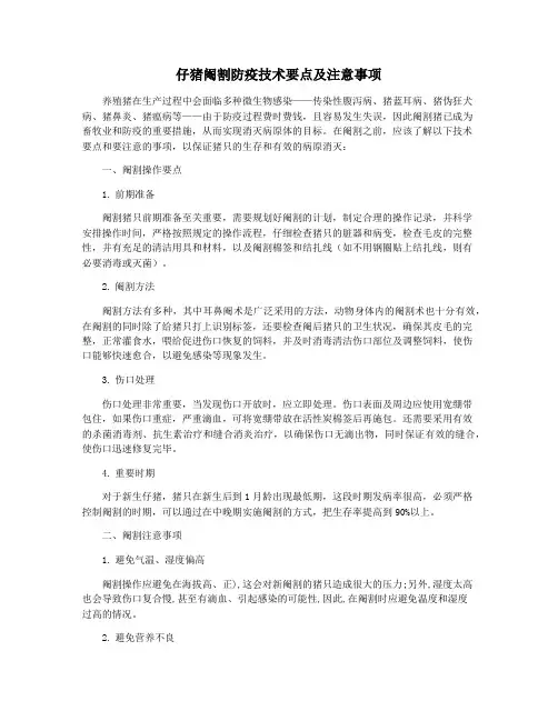 仔猪阉割防疫技术要点及注意事项