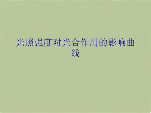 光照强度对光合作用的影响曲线(共9张PPT)