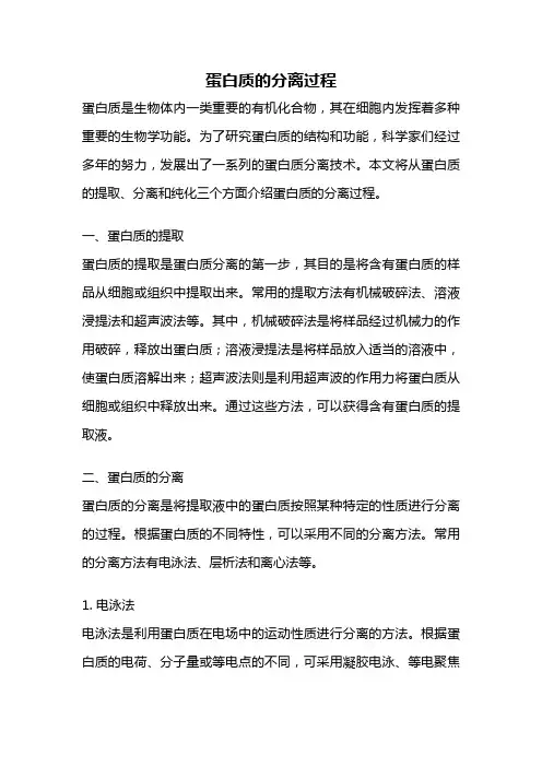 蛋白质的分离过程