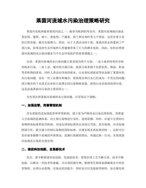 莱茵河流域水污染治理策略研究
